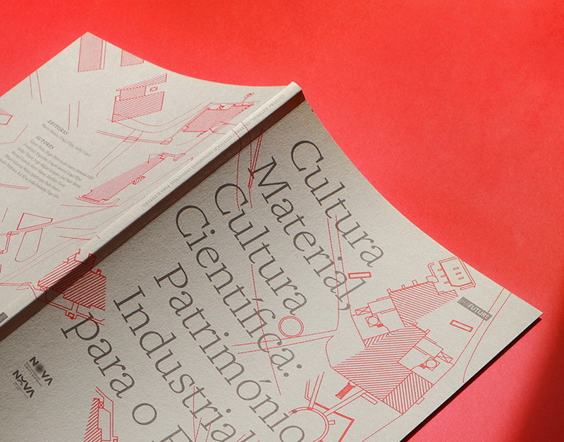 Ошибка 2 литров: Почему привычная норма воды может быть токсична для вашего метаболизма